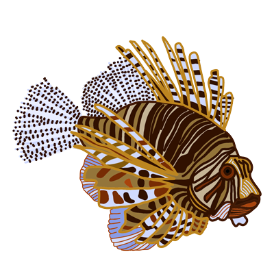 Illustration digitale détaillée d'une rascasse volante (poisson-lion) aux nageoires zébrées orange, blanche et marron.