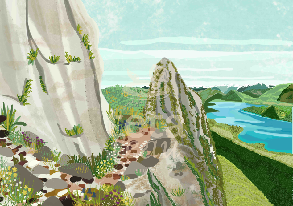 Réserve de Biosphère du Lac du Bourget, Rhône & Alpes. Illustrations texturées, dessinées à la main, organiques et vivantes. L’objectif de cette conception graphique est de fournir des visuels accessibles, sensibles et inclusifs, appropriables par to