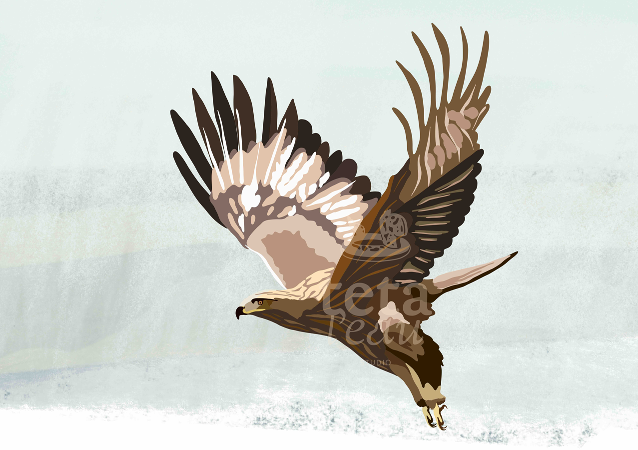 FAUNE-4---AIGLE-ROYAL.png