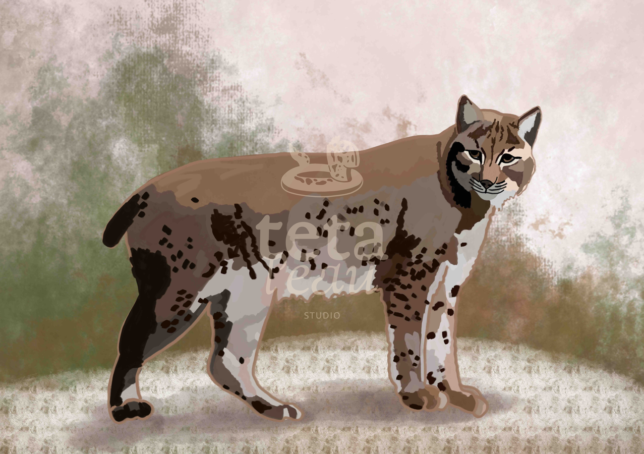 FAUNE-9---LYNX.png