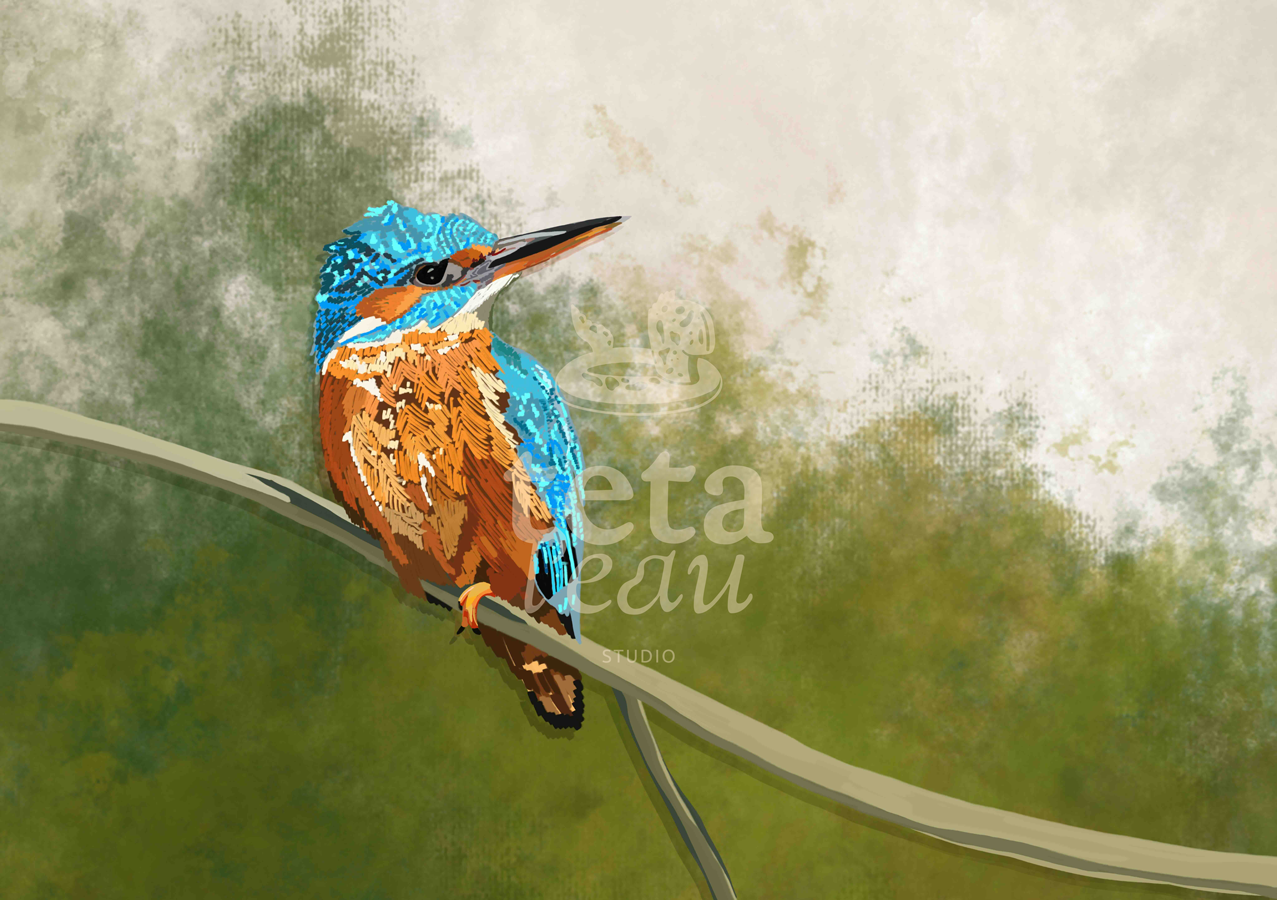 FAUNE-6---MARTIN-PECHEUR.png