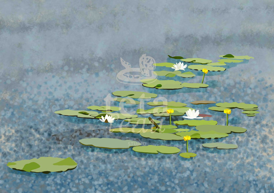 FLORE-6---NENUPHARE.png