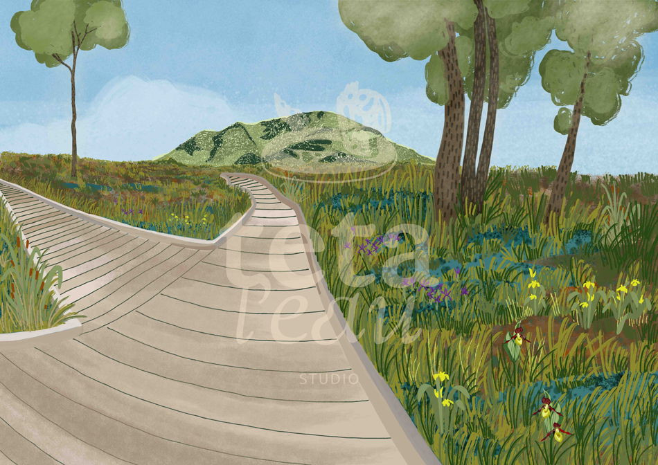 PAYSAGE-6--MARAIS-TOURBIÈRE.png