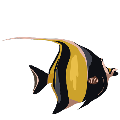 Illustration numérique d'un poisson des lagons tropicaux (Idole des Maures) aux zébrures noires, jaunes et blanches.