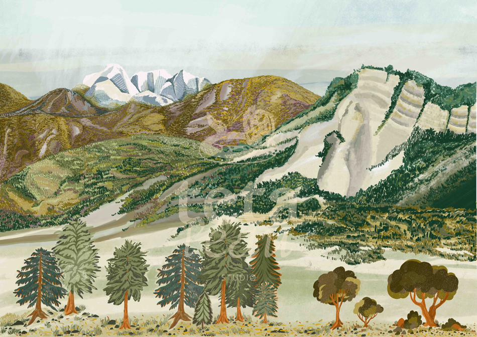 PAYSAGE-1---FORET-DE-PLAINE.png