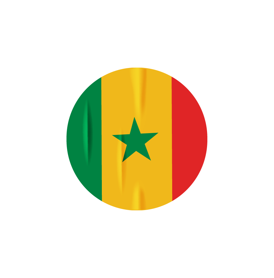 Logo de la Mauritanie en forme de ballon avec les couleurs vert, jaune et rouge, et une étoile verte au centre.