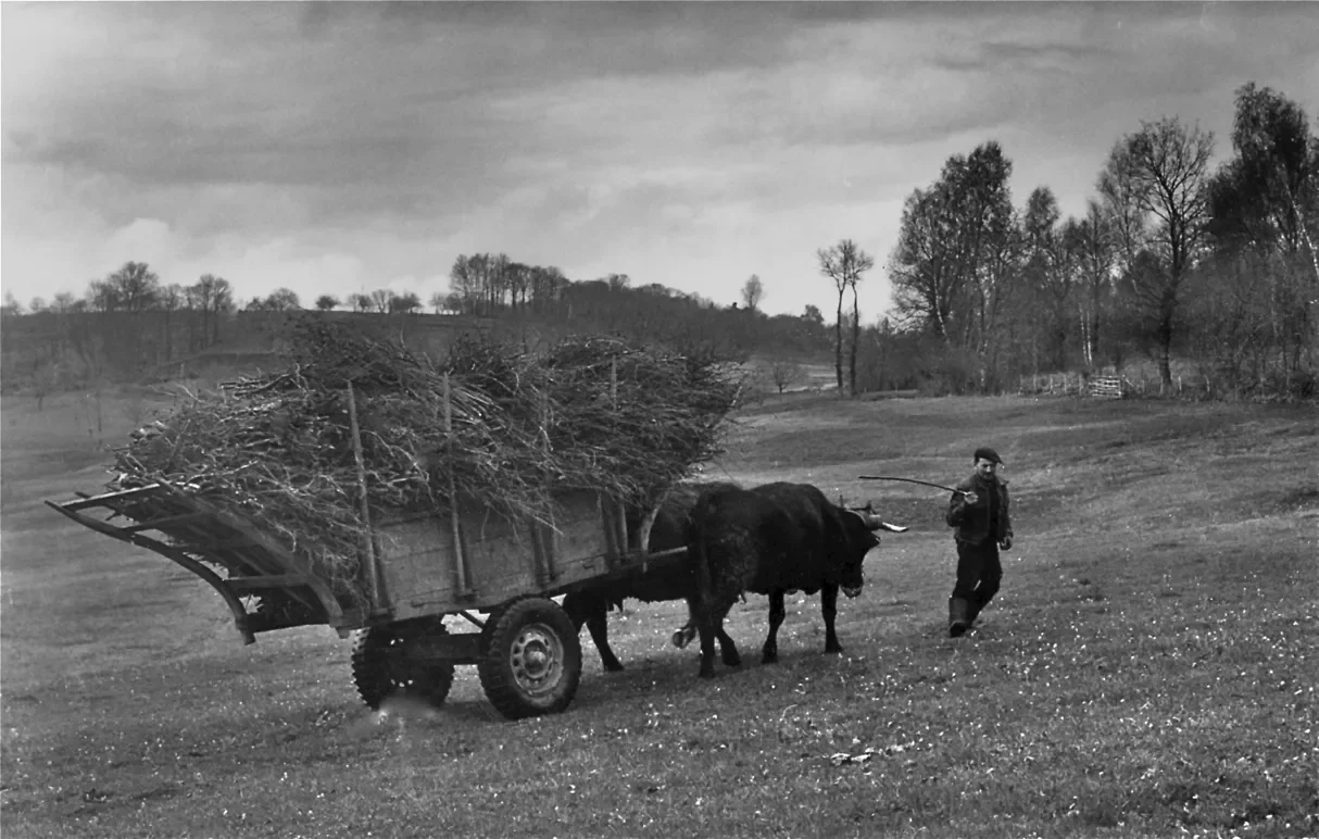 la-correze-16-1214.webp