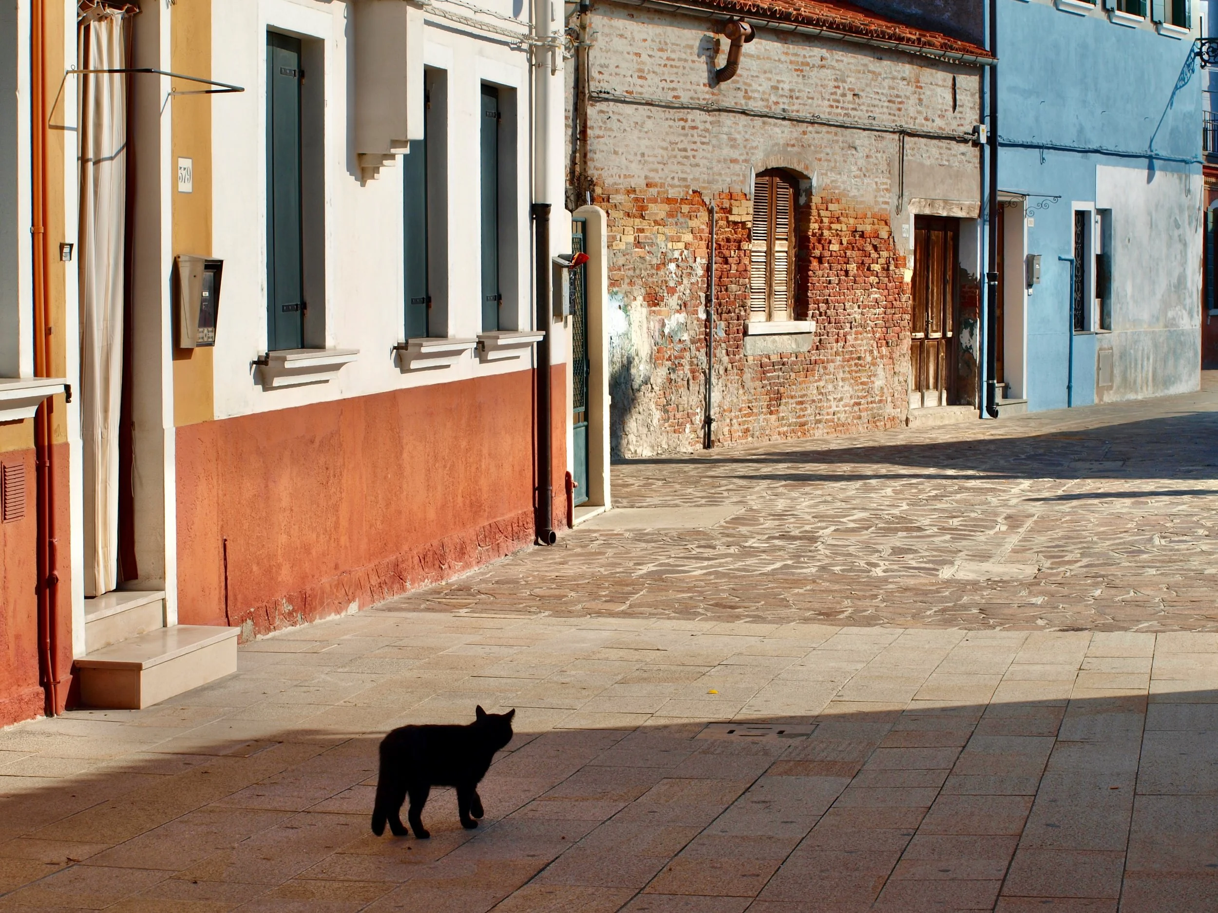 Une rue pavée bordée de maisons colorées, avec une chatte noire en train de marcher sur le trottoir, sous un soleil brillant.