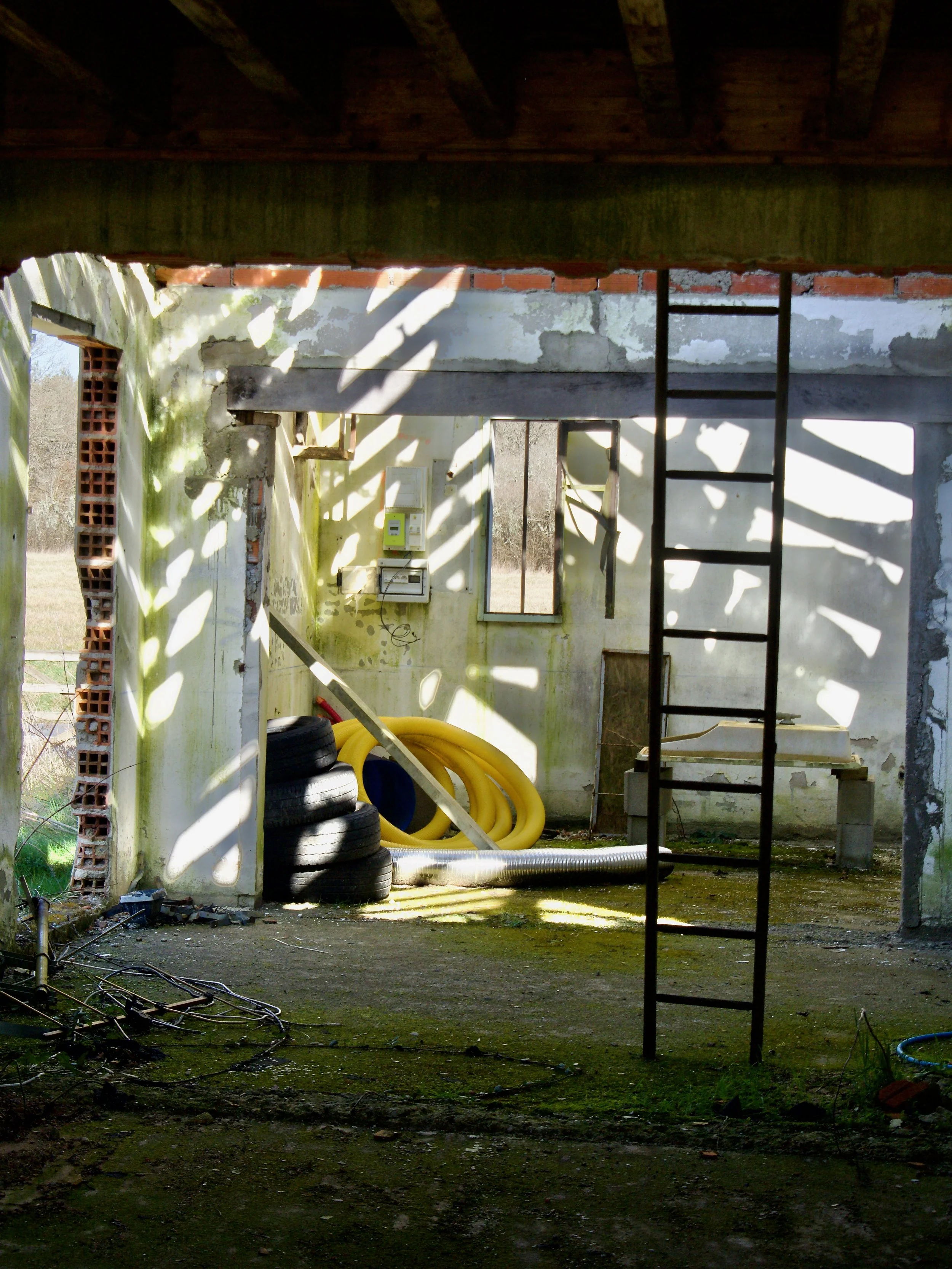Intérieur d'une ancienne structure abandonnée, murs en béton avec mousse verte, pneus empilés, tuyaux jaunes enroulés, échelles en métal, fenêtres sans vitres laissant passer la lumière. Sol en terre avec débris, ombres et lumière naturelles créant d