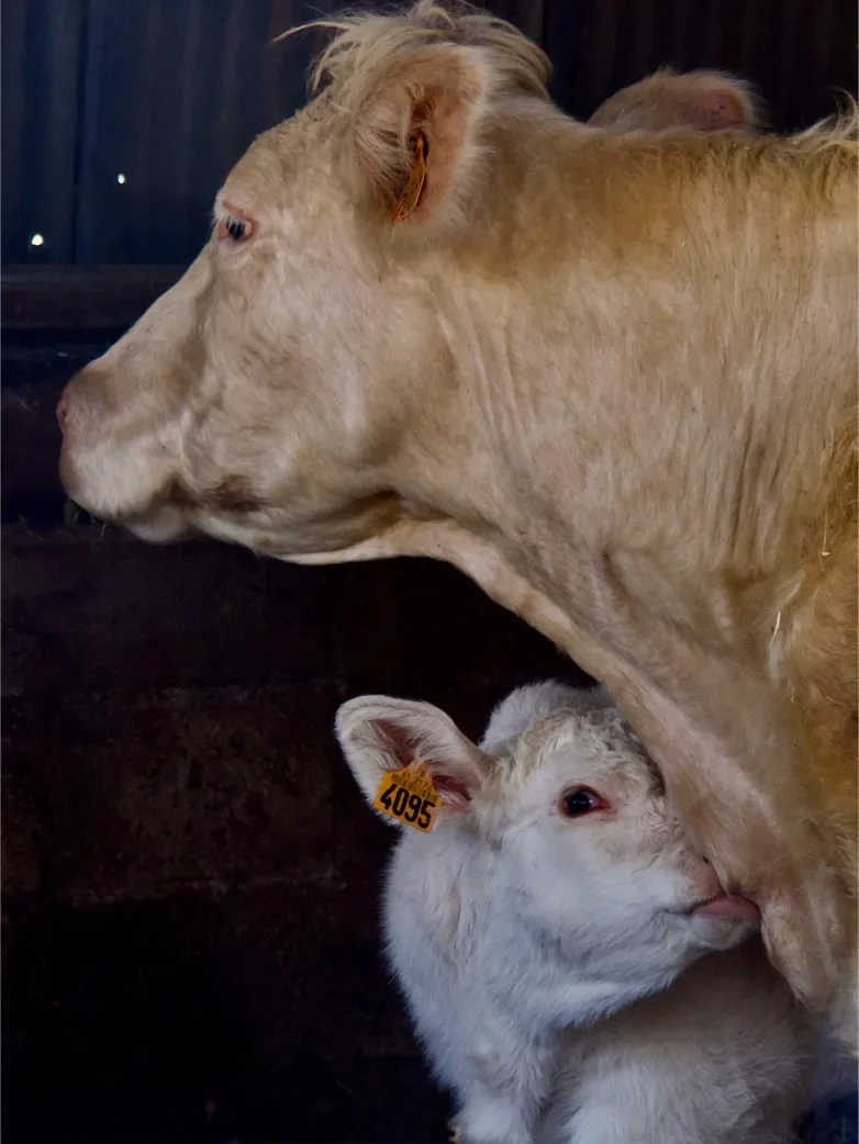la-ferme-1eree-visite-30-782.webp