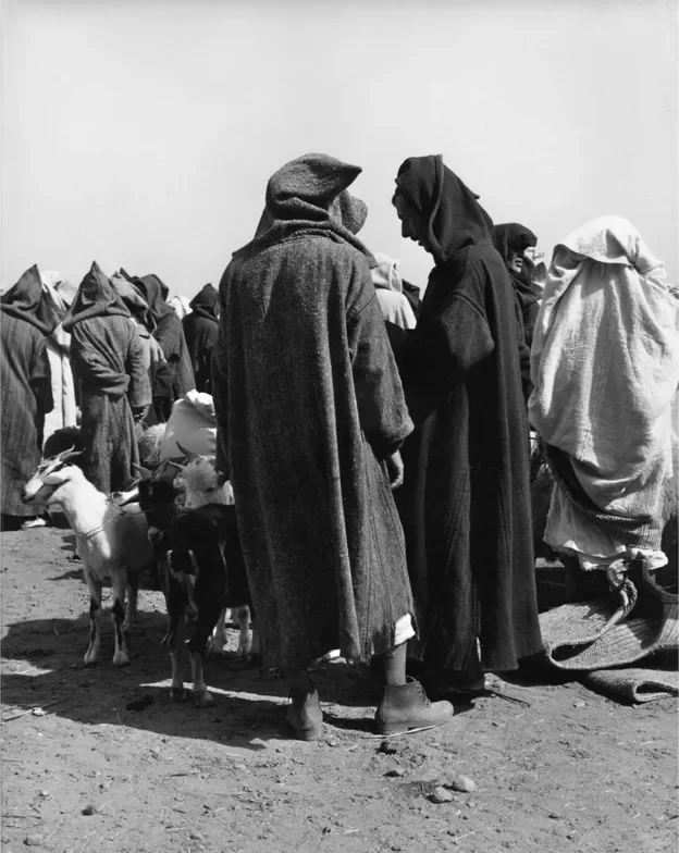 tunisie-maroc-9-624.webp