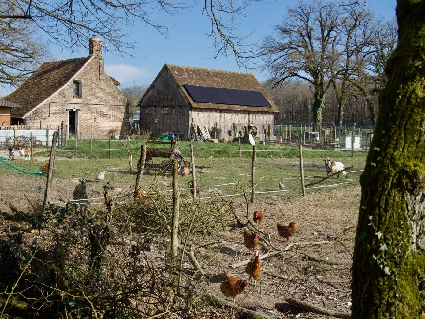 la-ferme-1eree-visite-3-1389.webp