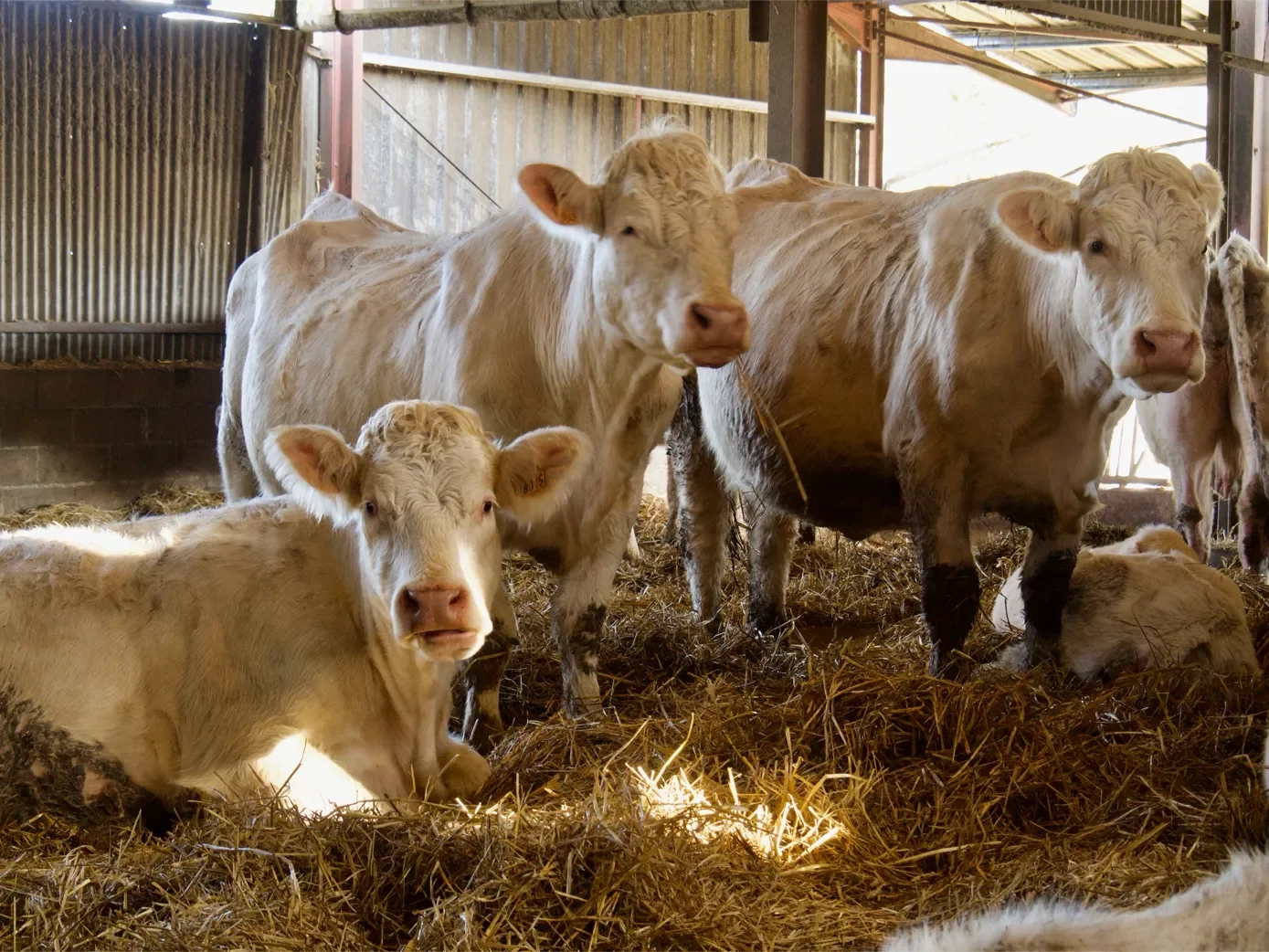 la-ferme-1eree-visite-27-1389.webp