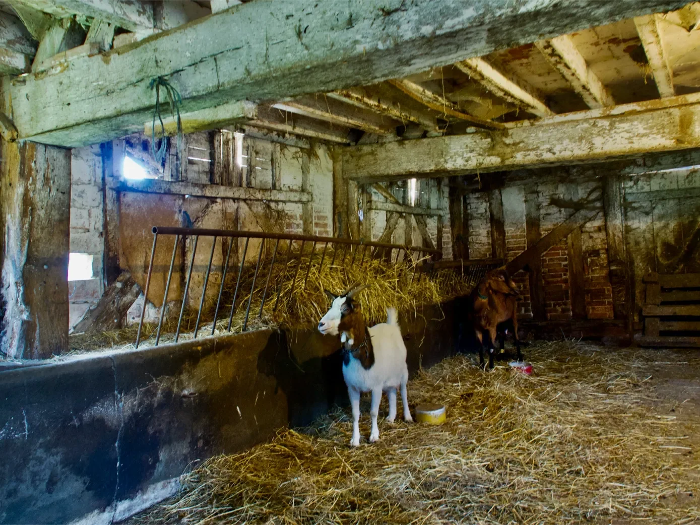 la-ferme-1eree-visite-17-1389.webp