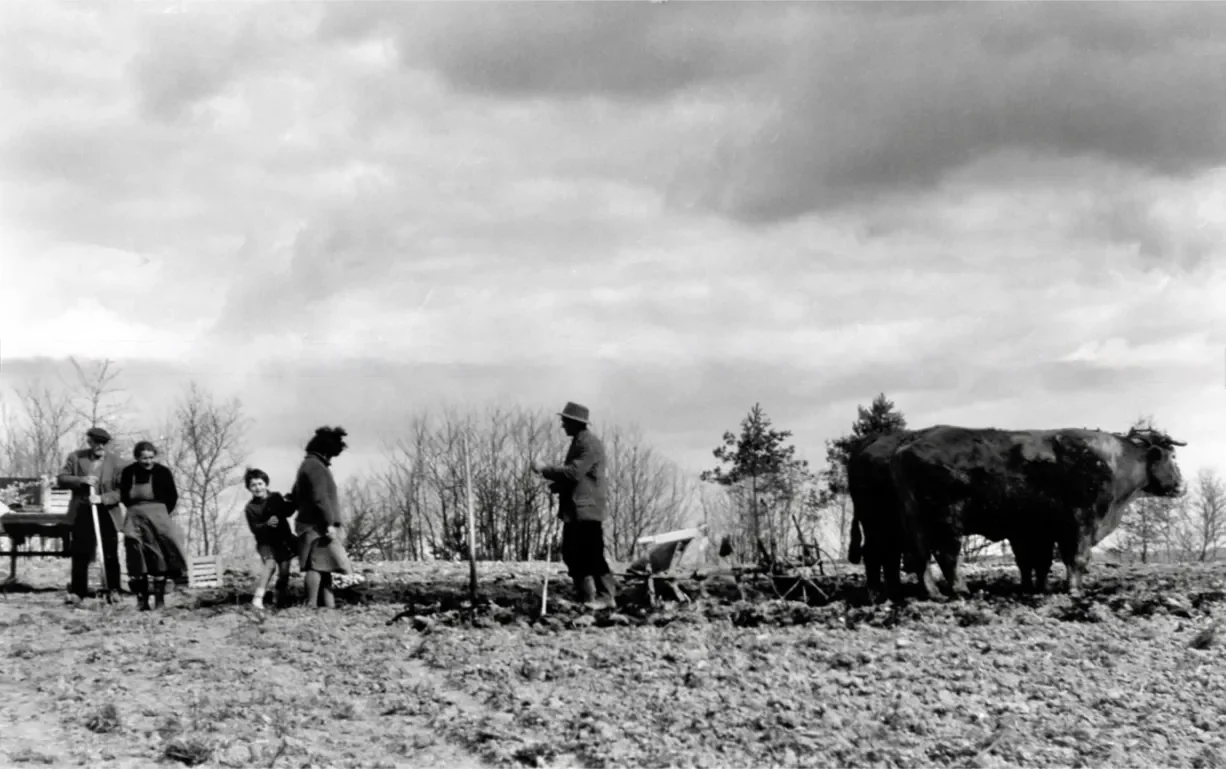 la-correze-10-1226.webp