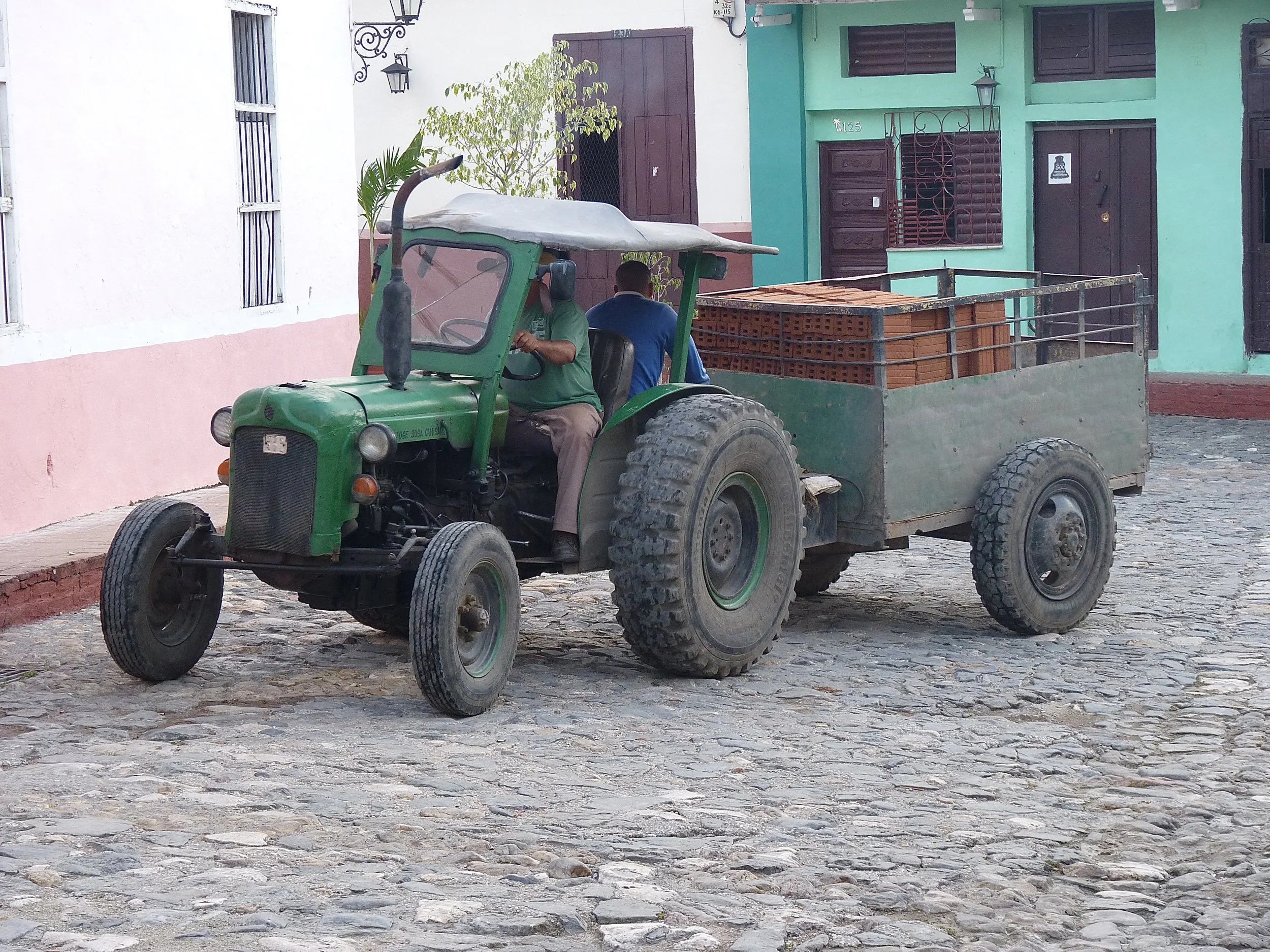 P1130264.jpg