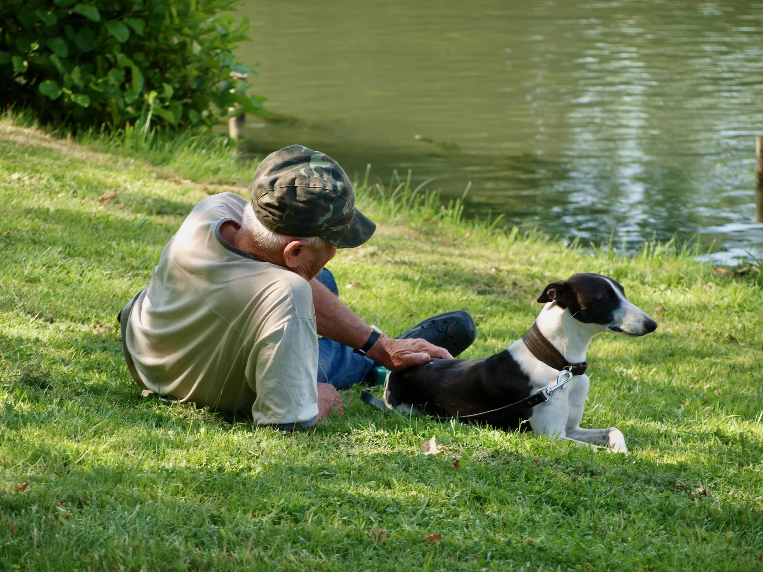 Un homme âgé assis sur l'herbe près d'un lac, portant un chapeau de camouflage, avec un chien de race Border Collie allongé devant lui.