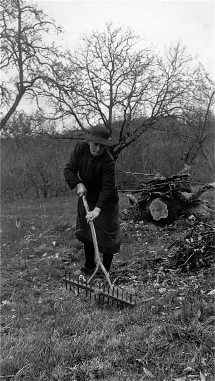 la-correze-23-436.webp