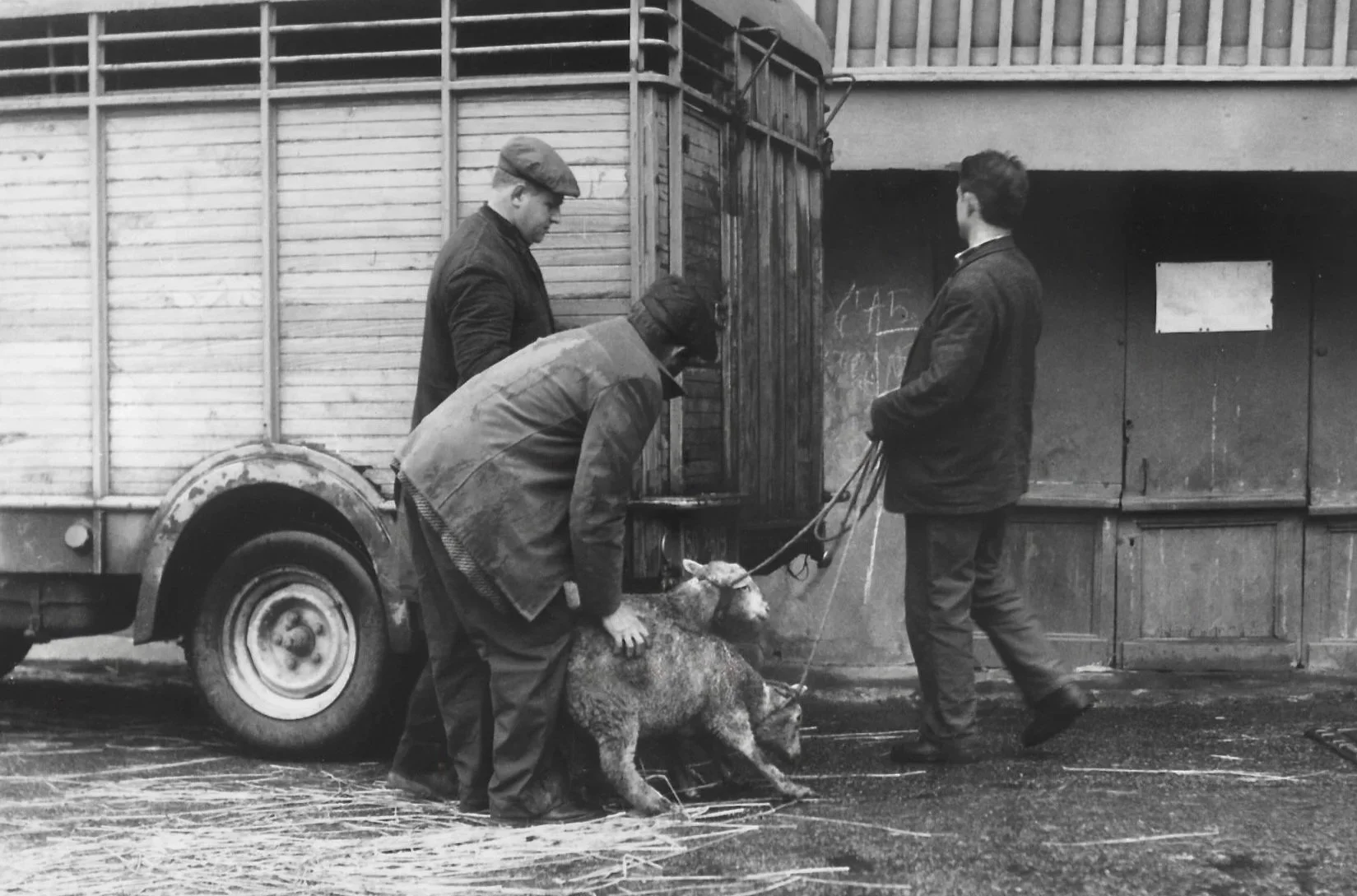 Trois hommes avec un chien dans une rue, un bus en arrière-plan, en noir et blanc.
