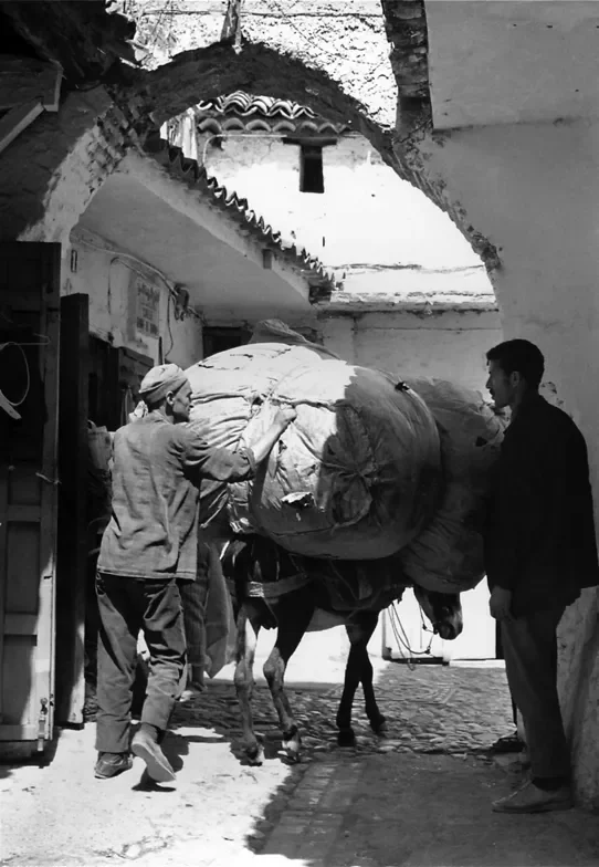 tunisie-maroc-12-542.webp