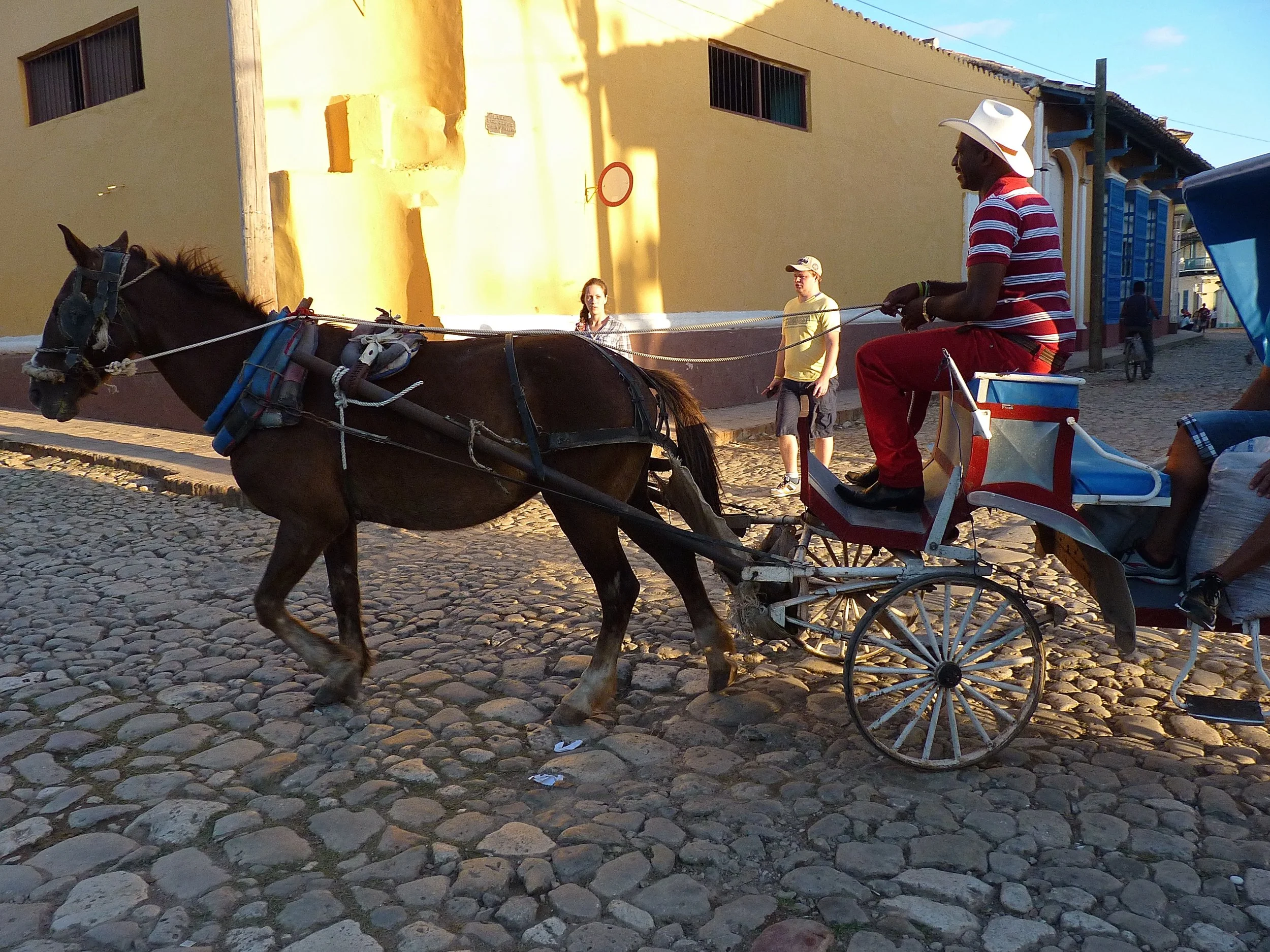 P1130253.jpg