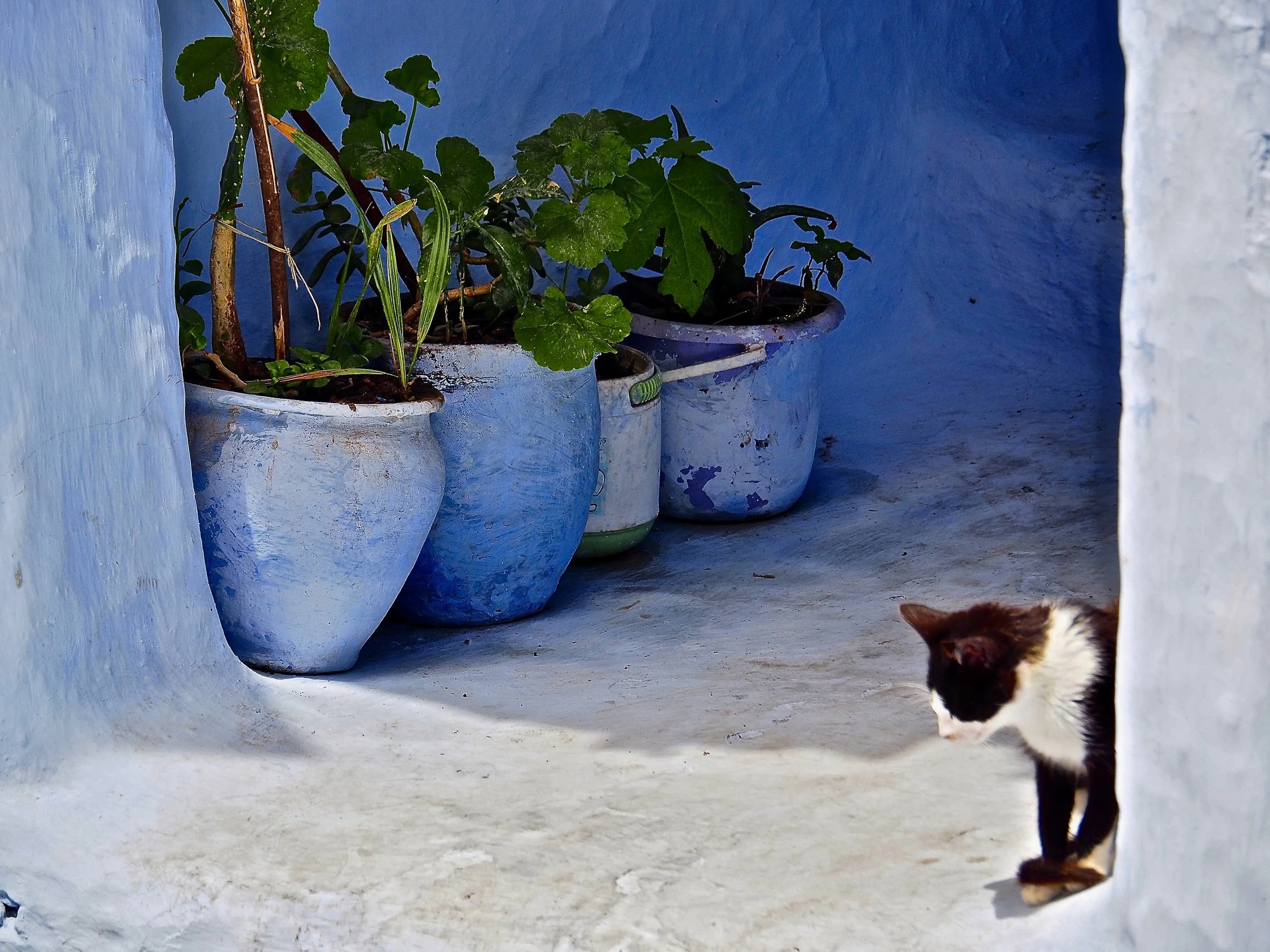 P4170674.jpeg