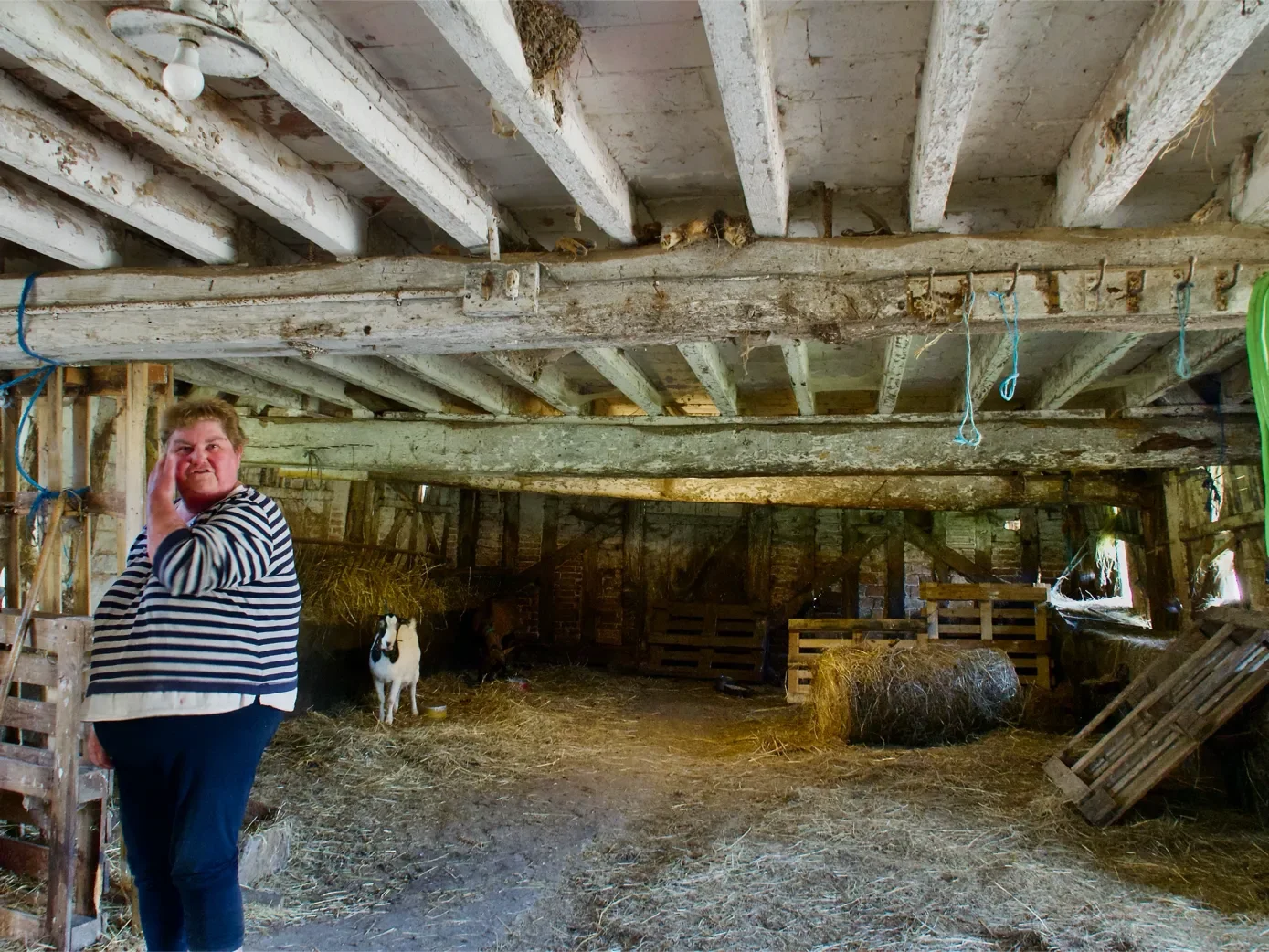 la-ferme-1eree-visite-16-1389.webp