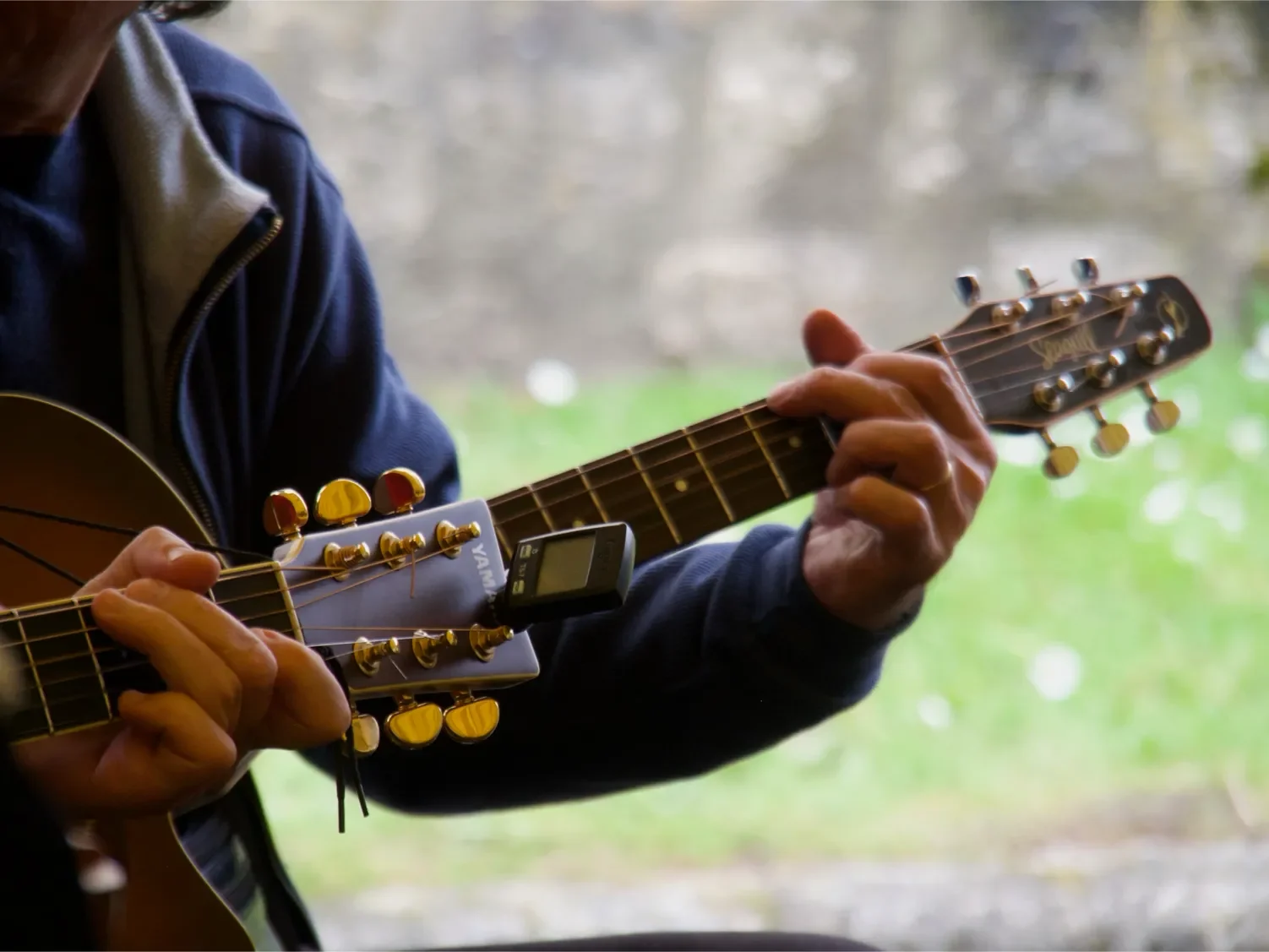 musicalies-pierrefitte-sur-sauldre-11-1502.webp