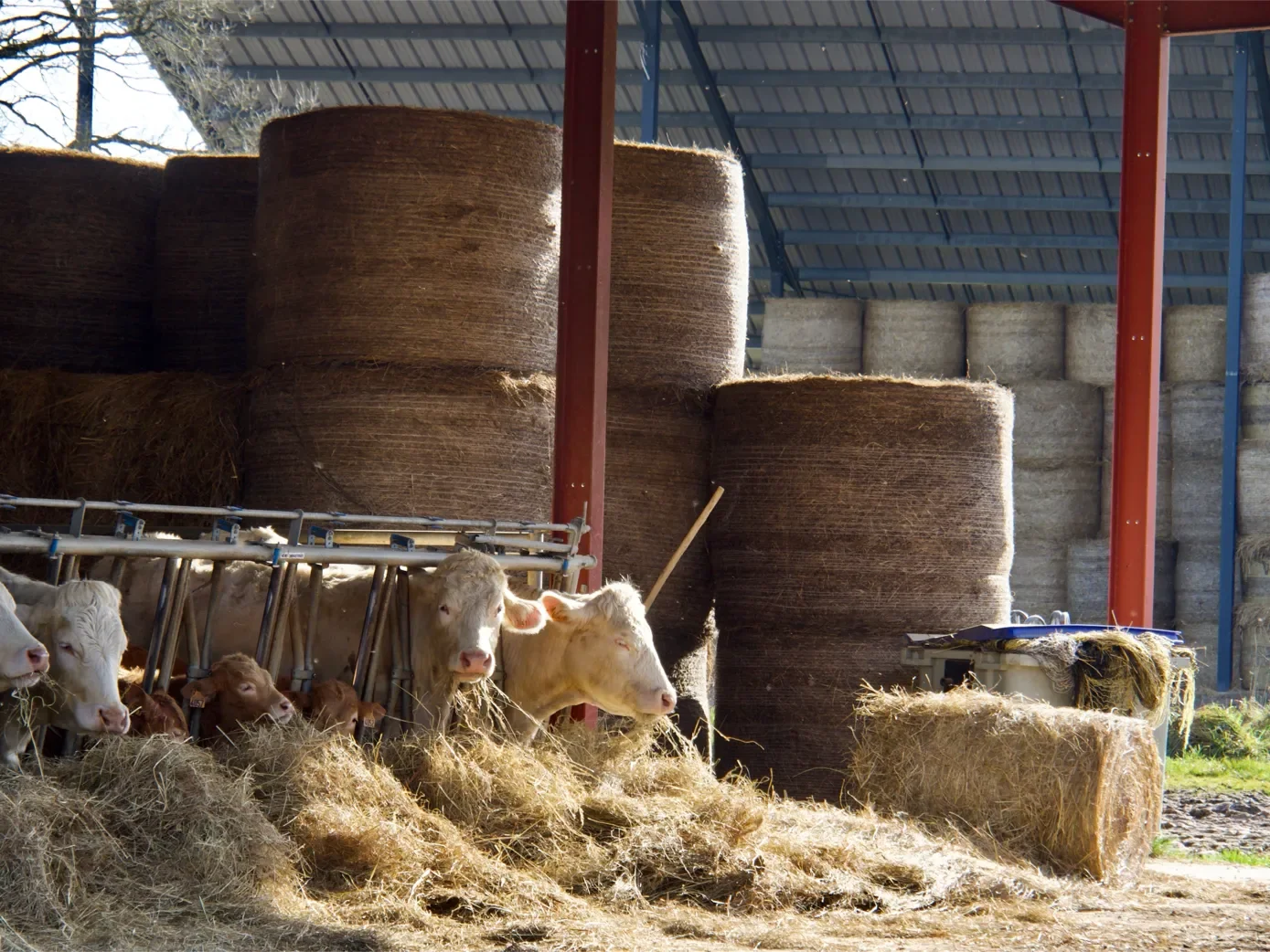 la-ferme-1eree-visite-28-1389.webp