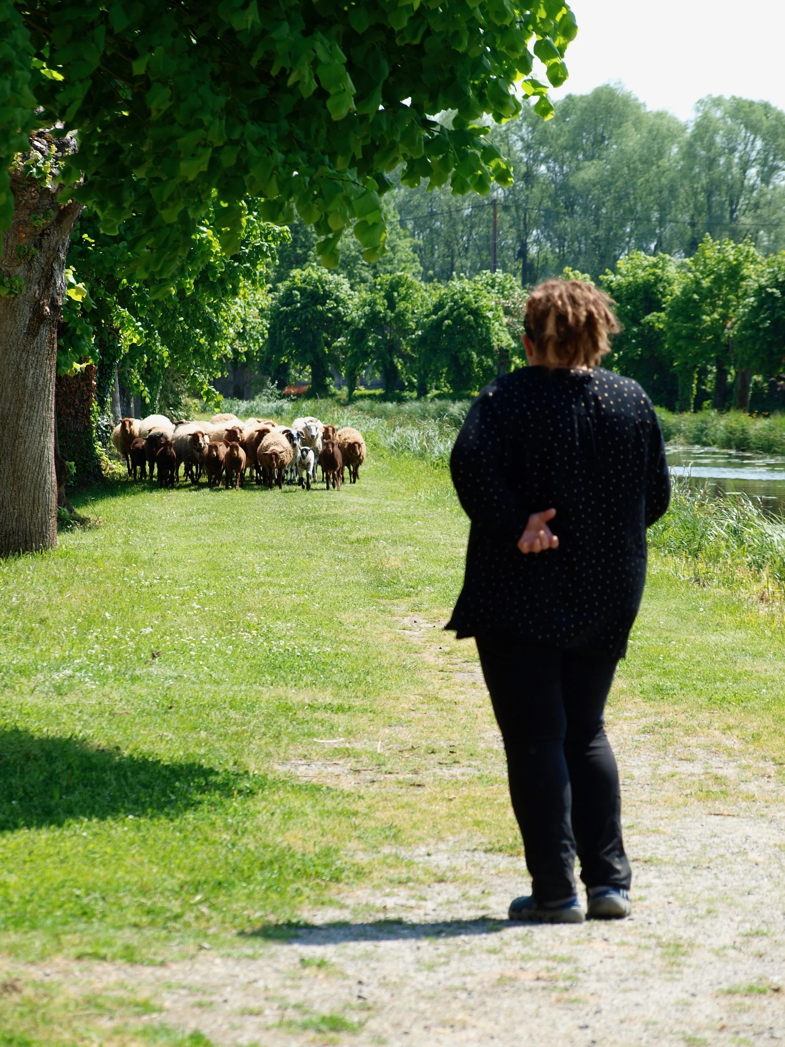 Un dimanche au bord de l'eau - 1.jpeg