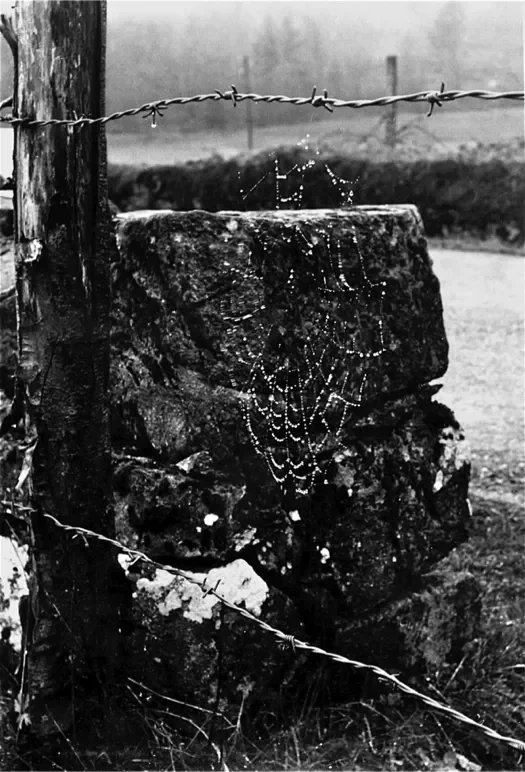 la-correze-2-525.webp