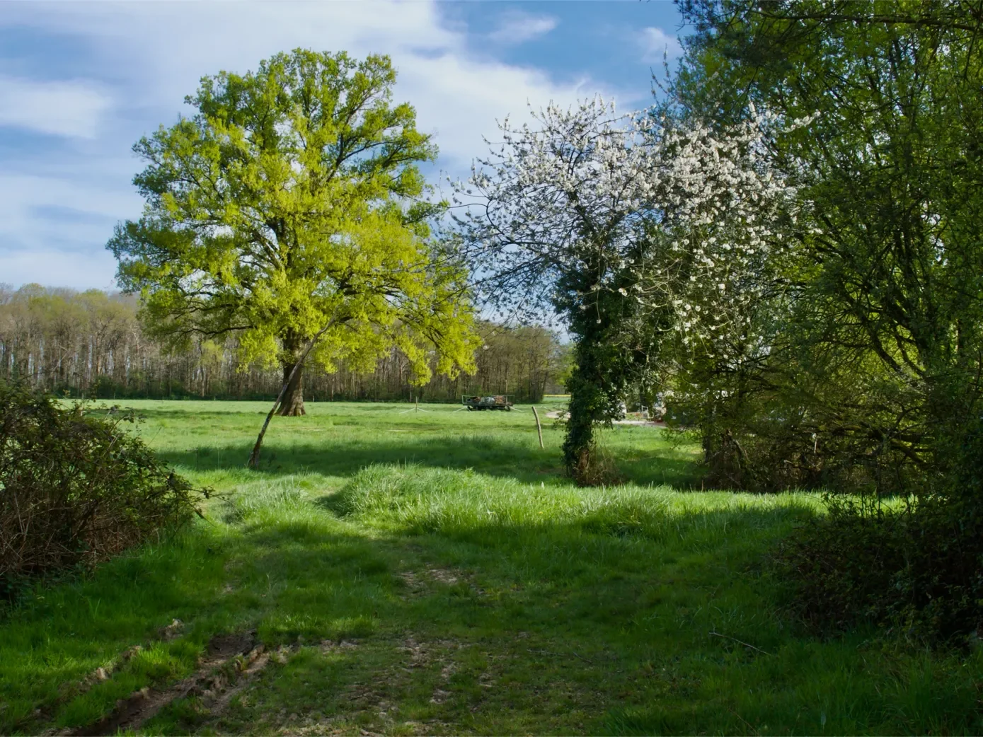 la-ferme-1eree-visite-35-1389.webp