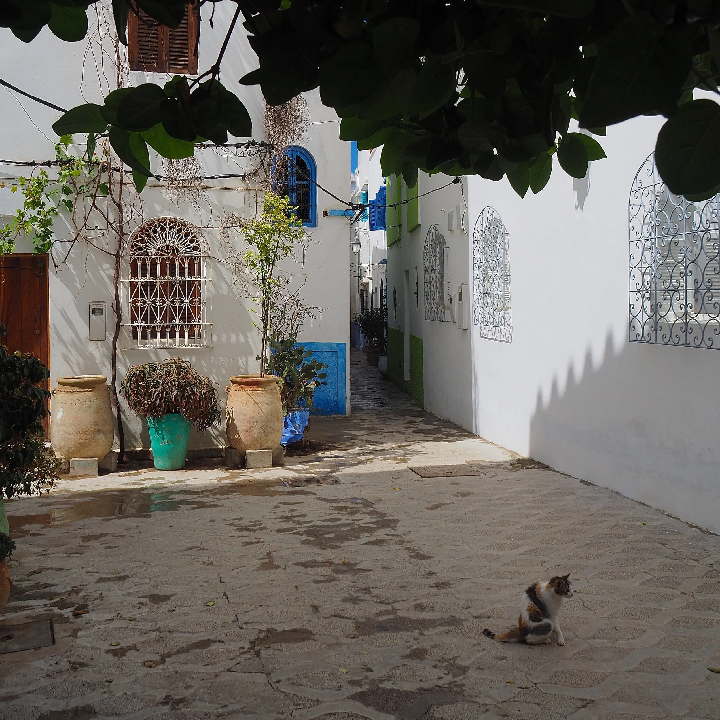 Maroc - Esilah - 18.jpeg