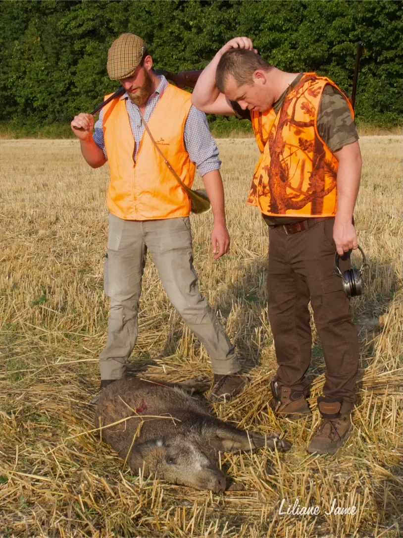 battue-b-35-814.webp