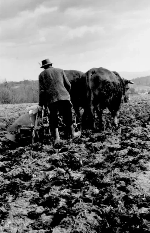 la-correze-12-497.webp