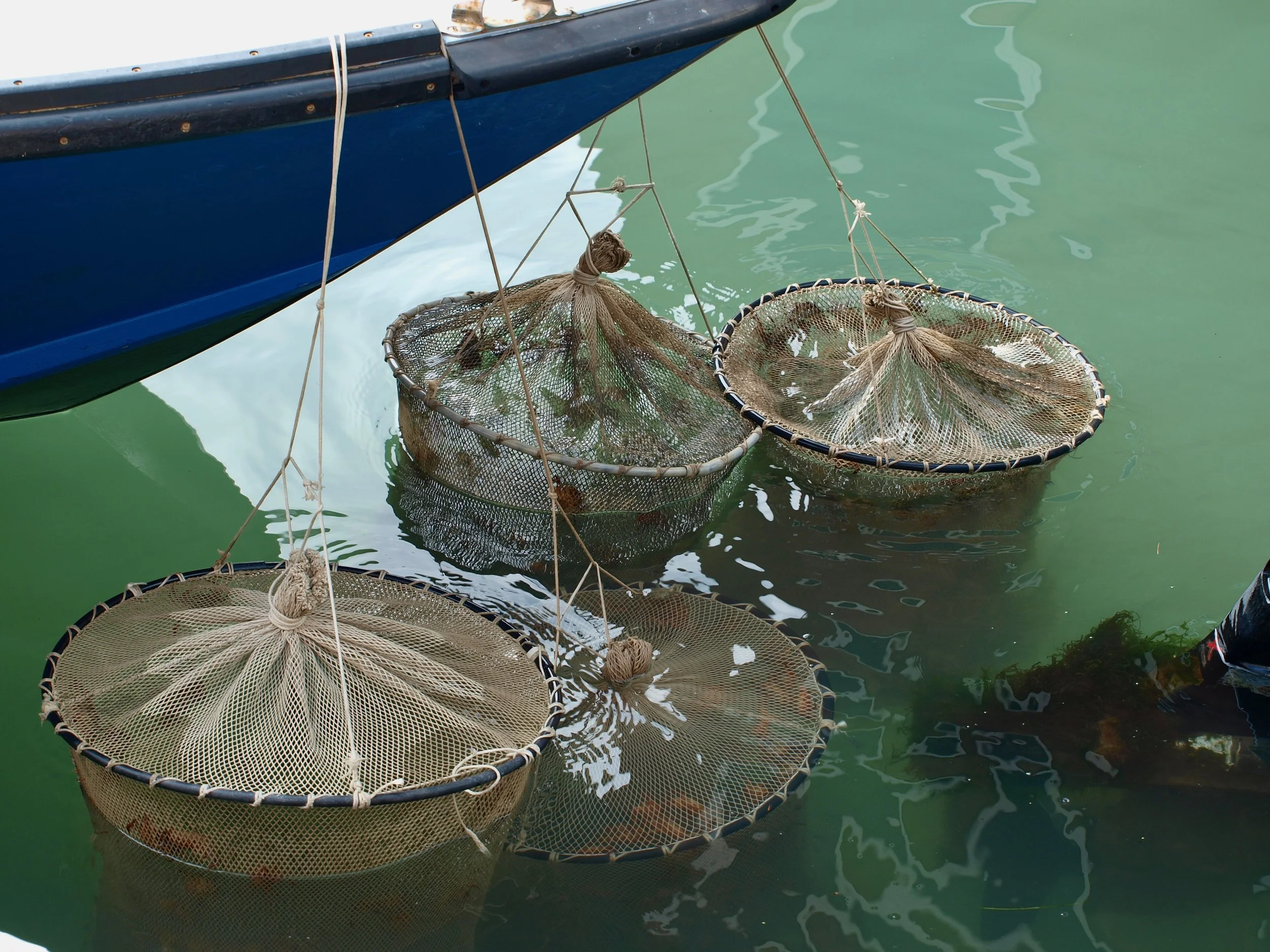 Radeaux piège à poissons suspendus à un bateau, flottant dans une eau vert clair.