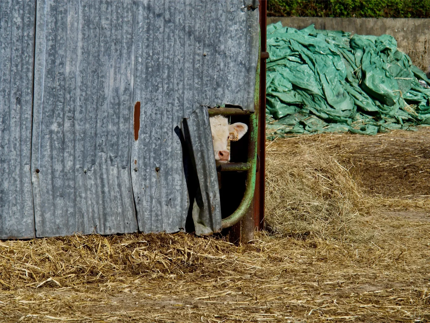 la-ferme-1eree-visite-24-1389.webp
