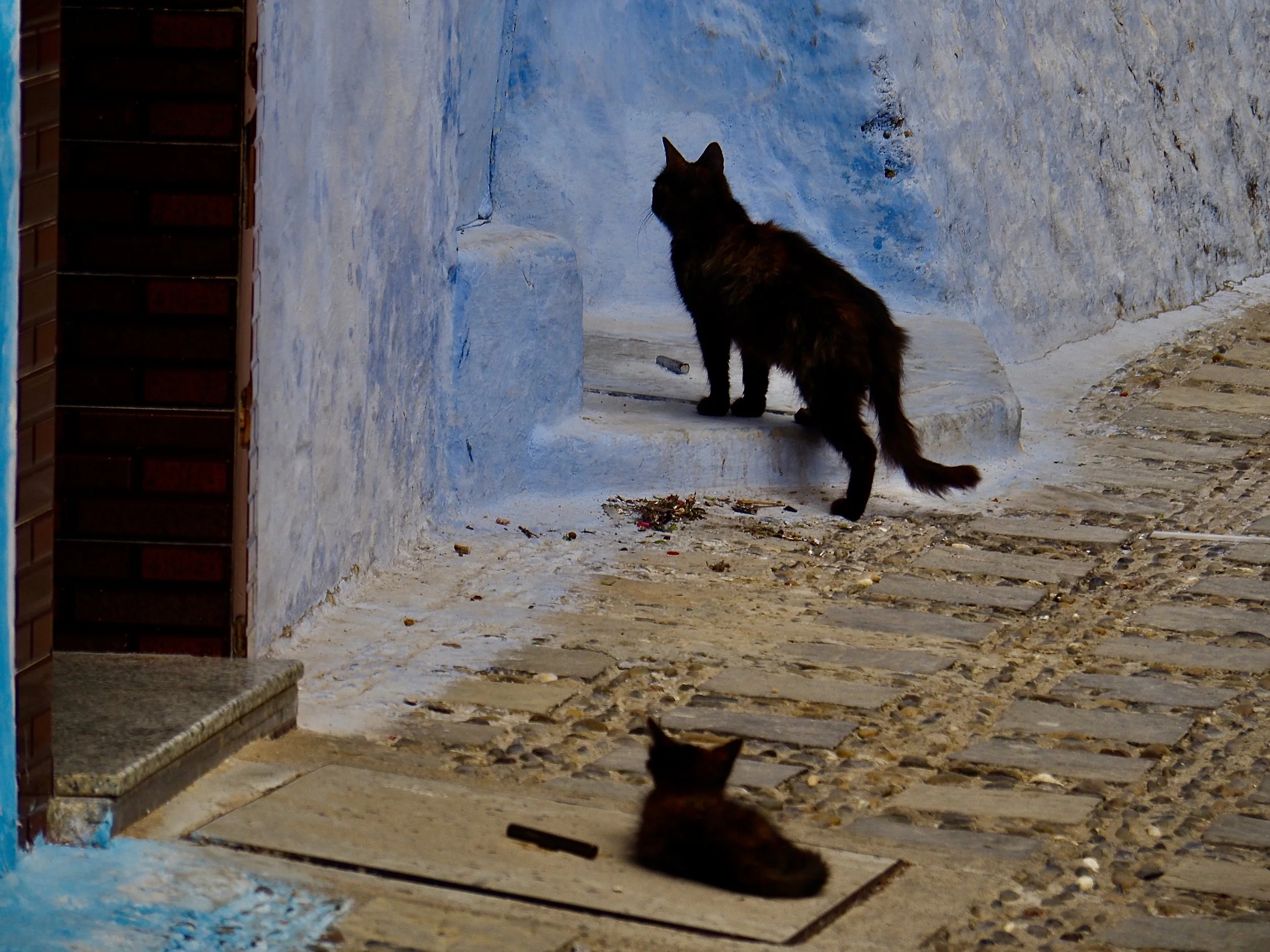 P4170721.jpeg