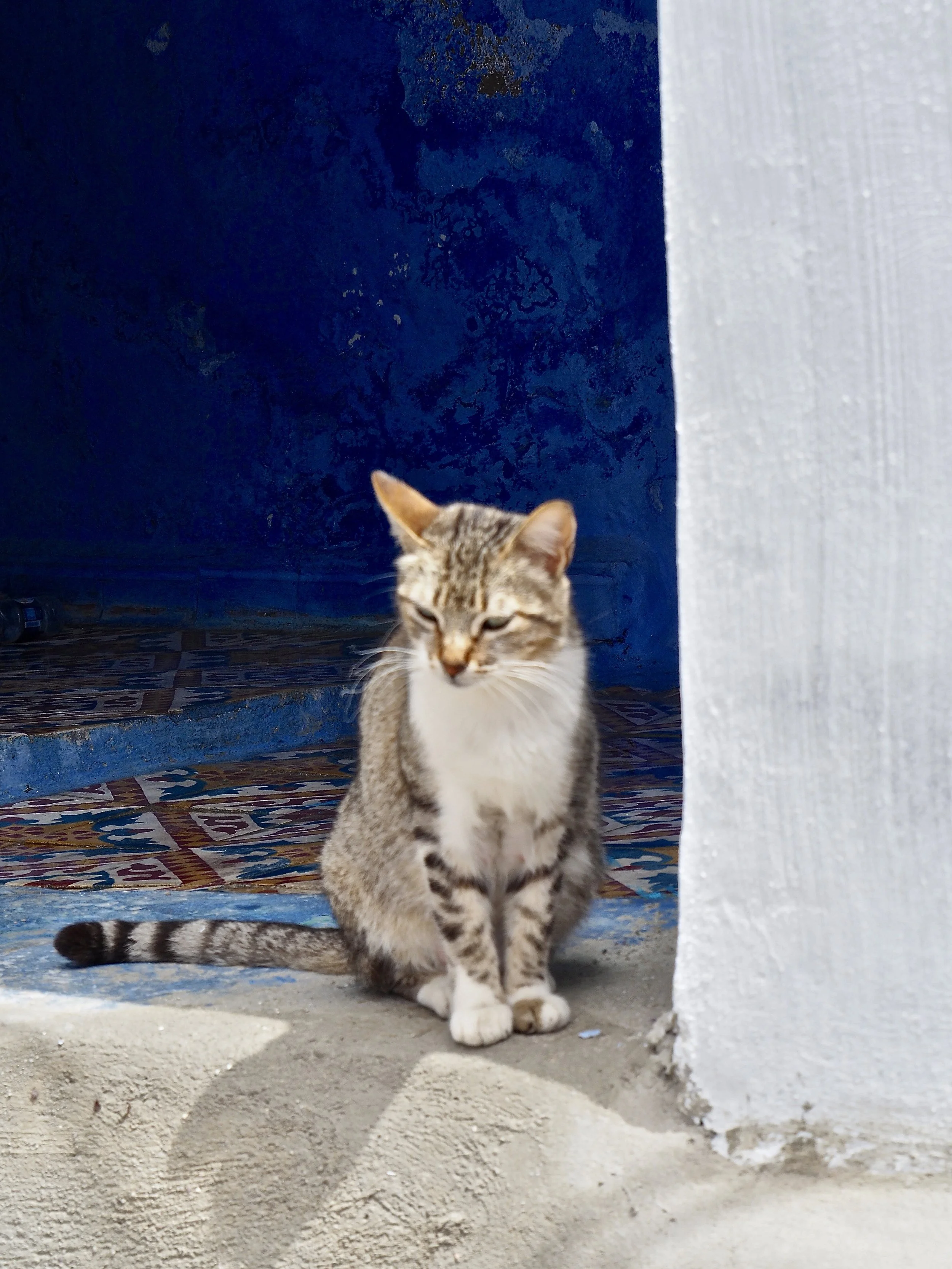 CHATS