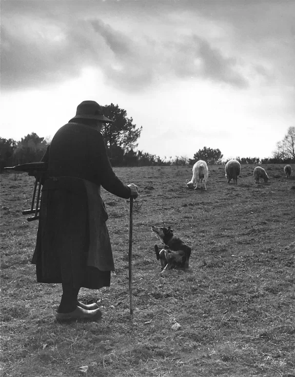 la-correze-5-605.webp
