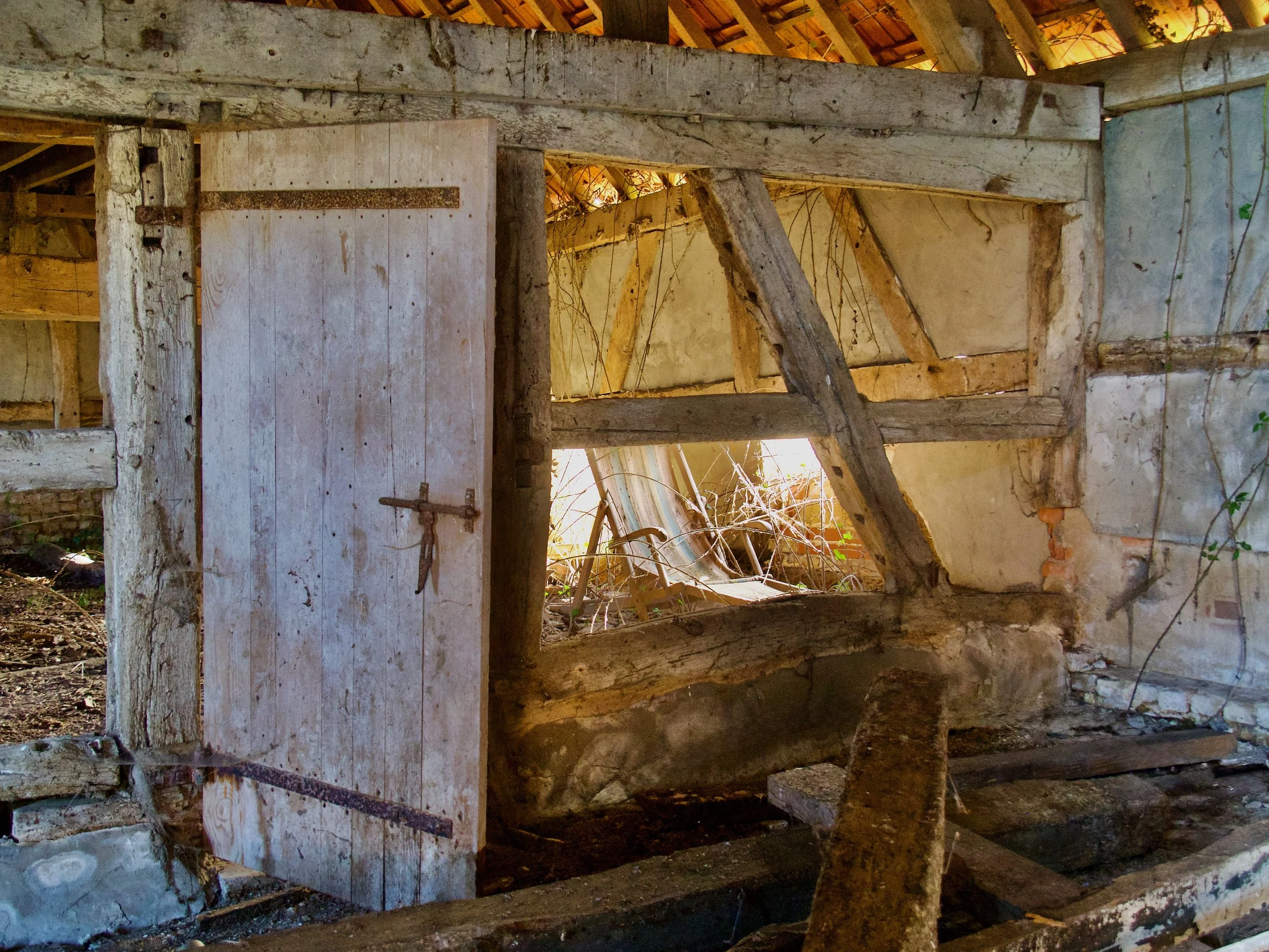 Intérieur d'une ancienne structure en bois avec des poutres apparentes, des murs en pierre et en plâtre, et de la végétation qui pousse à l'intérieur, laissant entrer la lumière naturelle.