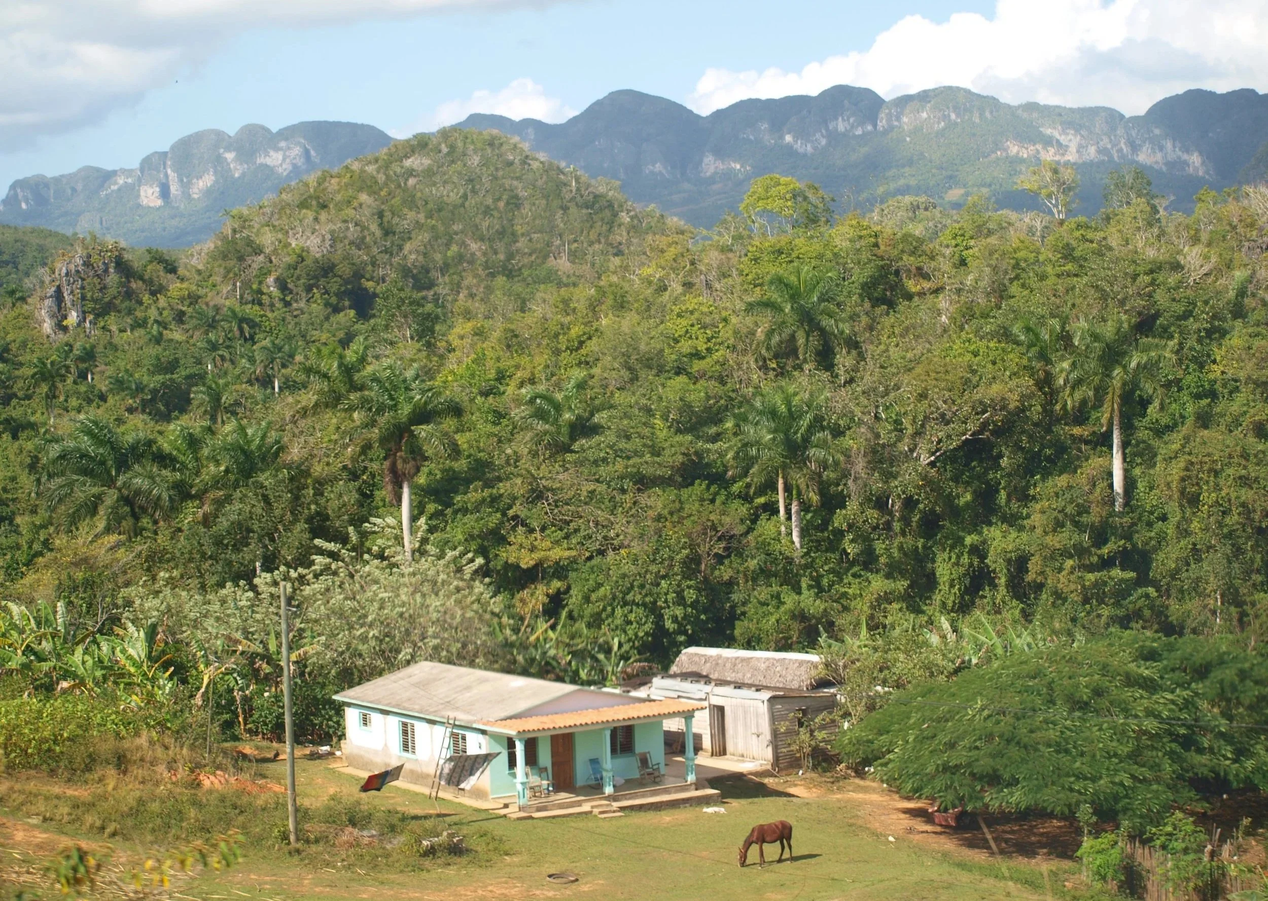 Une maison simple avec un toit en tôle, entourée de végétation luxuriante, avec des montagnes en arrière-plan et un cheval qui pâture dans un champ.