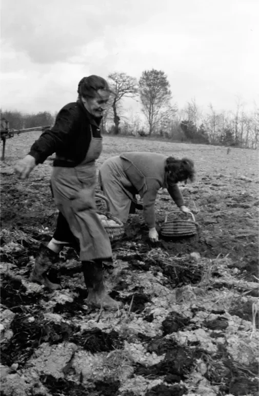 la-correze-11-505.webp