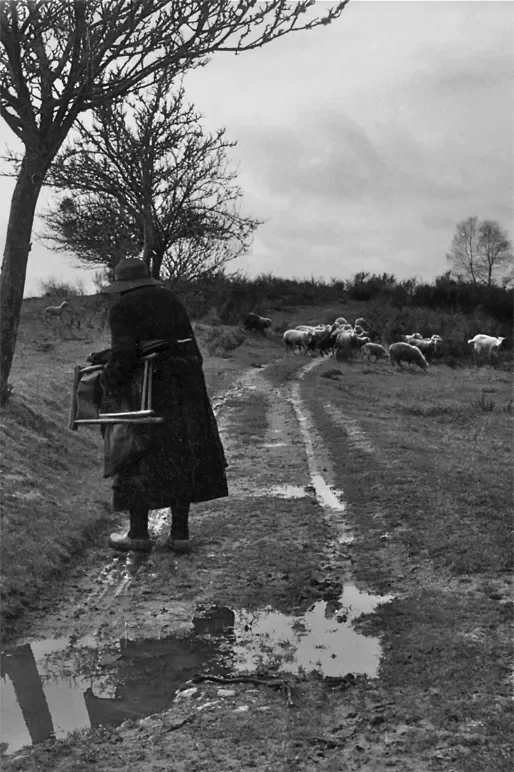 la-correze-4-514.webp