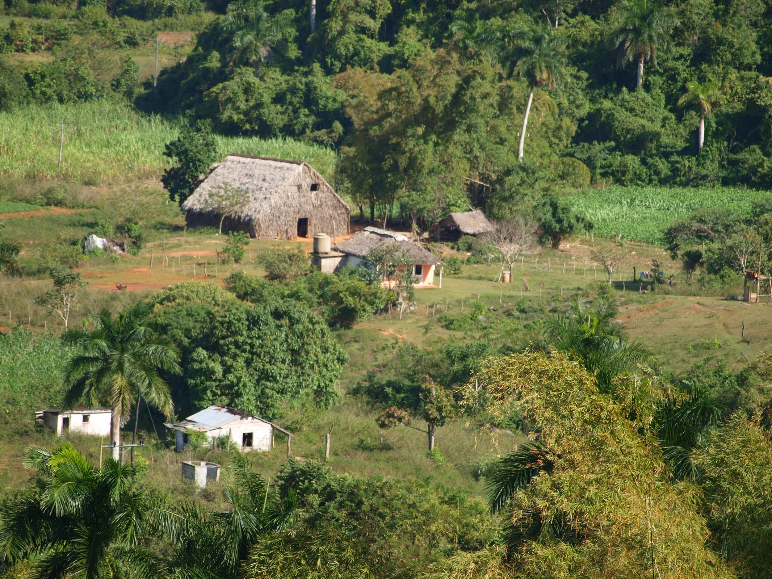 PC032786.jpg