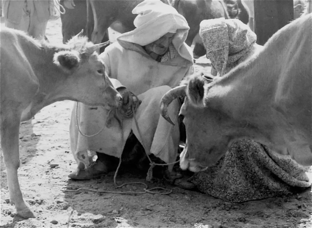 tunisie-maroc-8-1071.webp