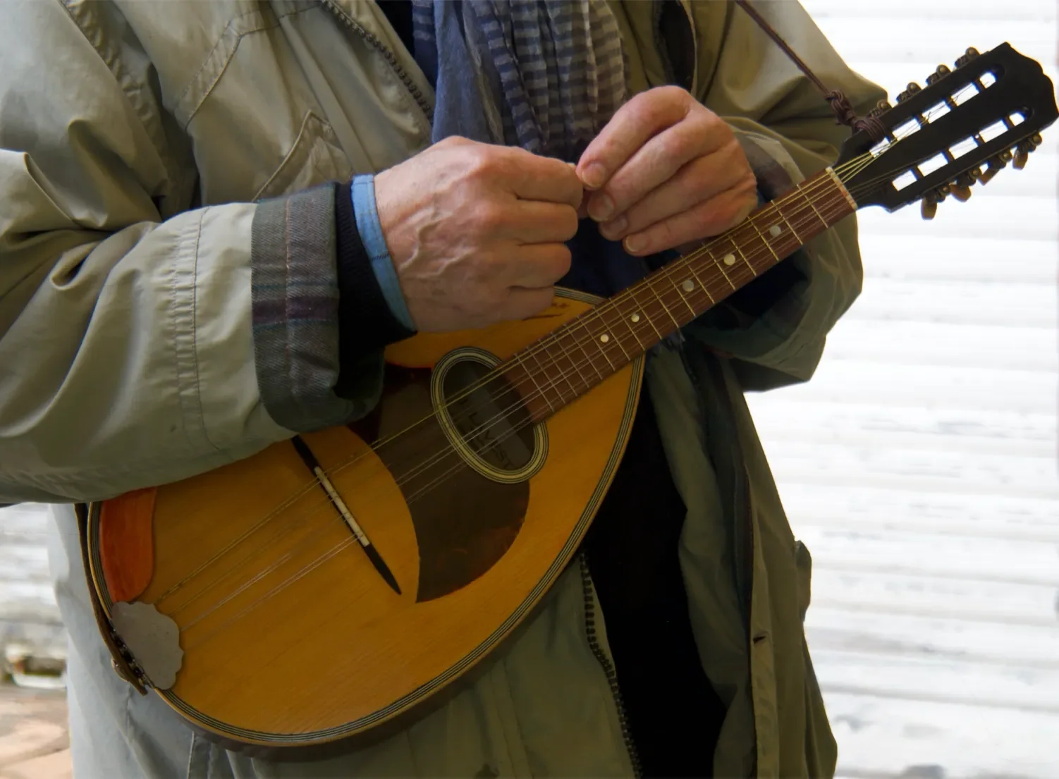 musicalies-pierrefitte-sur-sauldre-35-1502.webp