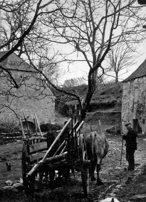 la-correze-17-561.webp