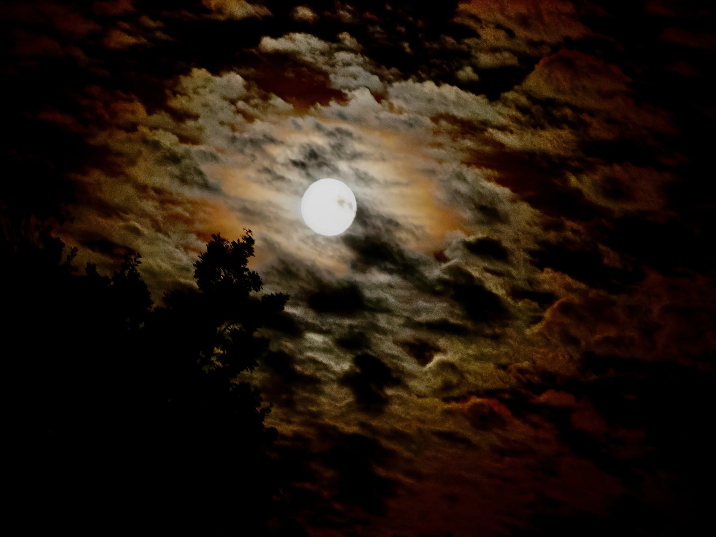 Lune pleine éclairant un ciel nuageux nocturne, avec quelques arbres silhouettes en premier plan.
