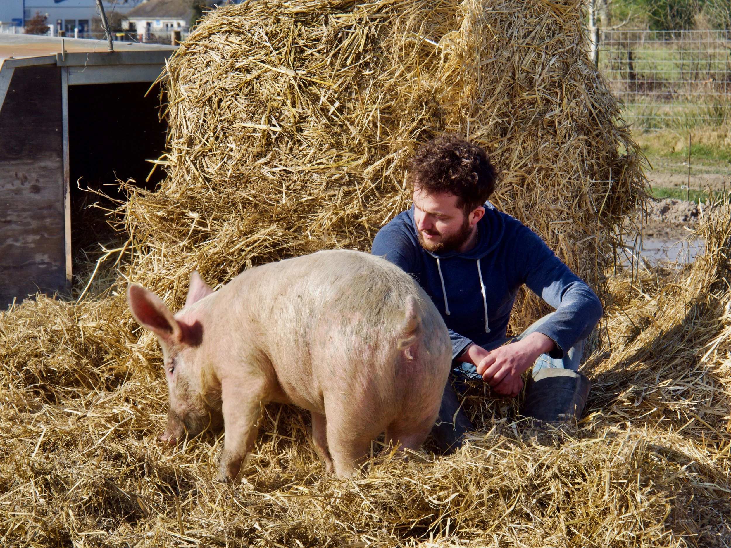 La ferme de la Chéreautière